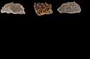 quartz iron okside0001.JPG